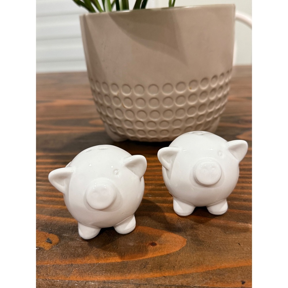 Set of 2 White Ceramic Pig Salt and Pepper Shakers Farmhouse Kitchen Decor